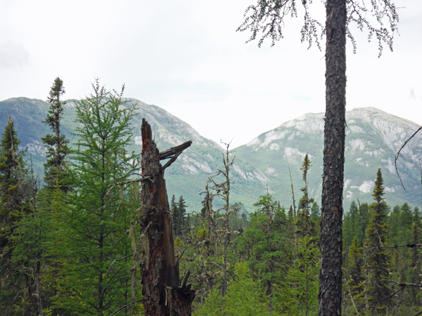 view from the baordwalk